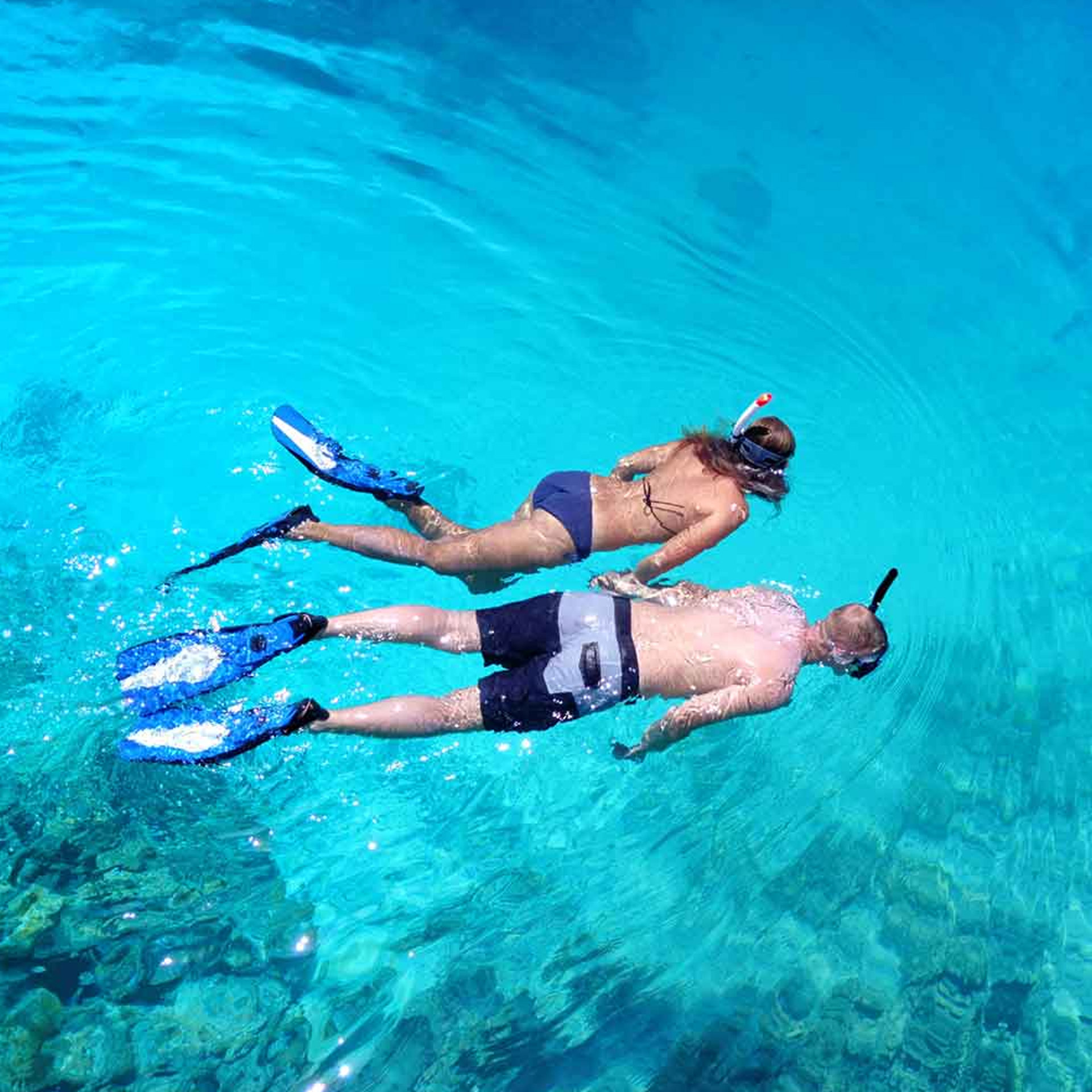 Guided Snorkeling & Dive Center